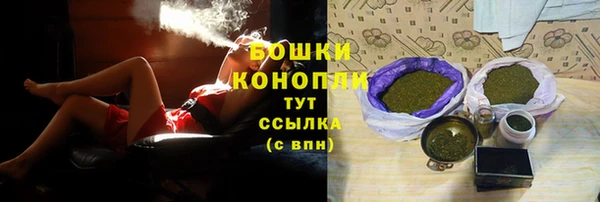СК Бородино