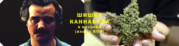 спиды Бугульма