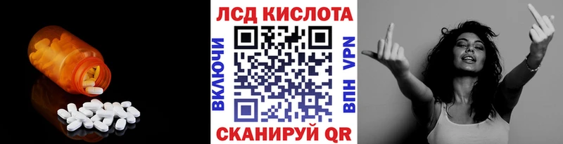 даркнет сайт Новоржев shop какой сайт Лсд 25 экстази кислота