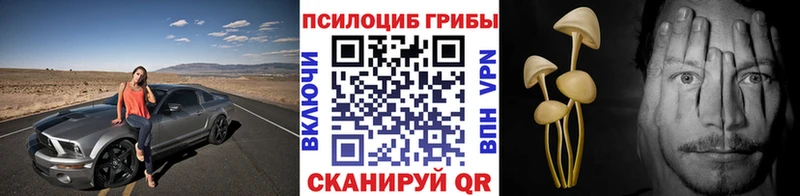 Галлюциногенные грибы Magic Shrooms Новоржев